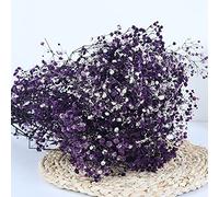 YIWOYI Ramo de flores secas naturales Gypsophila Paniculata preservadas para decoración del hogar y fiestas de boda (morado, 15-30 cm, 20 g)