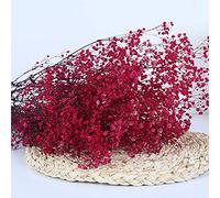YIWOYI Ramo de flores secas naturales Gypsophila Paniculata preservadas para decoración del hogar y fiestas de boda (rojo rosado, 15-30 cm, 20 g)