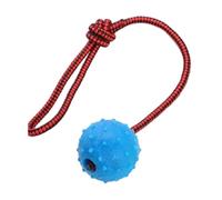 YIXANNX 2X Pelota interactiva para Perros: interacción y emociones con Suministros de Entrenamiento para rechinar los Dientes de Goma para Mascotas, Pelota Goma sólida