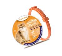 YIXANNX Collar de gato multifuncional con hebilla para el cuello, elimina la inquietud, suministro de entrenamiento para caminar, productos calmantes impermeables para mascotas