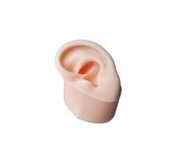 YIXANNX Modelo de oreja de silicona suave Textura delicada para educación y capacitación médica