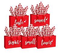 YIXAXKAO 5 Senses - Bolsas de regalo Five Senses con papel de seda Kraft con asas de cinta para aniversario, día de San Valentín, cumpleaños para él, marido, novio (rojo y blanco)