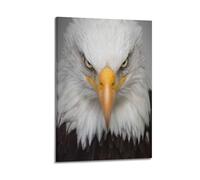 YiXong Póster decorativo con diseño de águila calva de Estados Unidos, arte de pared con pájaros majestuosos animales salvajes, lienzo, póster de pared e impresión artística moderna para decoración de