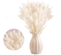YiYaO Secas Naturales Cola de Conejo Flor,Hierba Seca de Cola de Conejo 30pcs Hierba de Pampas Secas para La Sala de Estar del Hogar Decoración de Racimos de Flores
