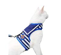 Yizhi Miaow Arnés para Gatos a Prueba de Escape con Correa Grande, Chaquetas Ajustables para Caminar, Chaleco Acolchado para Gatos, Traje Marinero Azul Marino