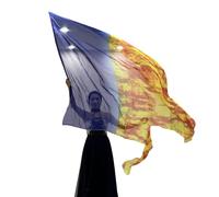YIZITU Banderas de adoración, banderas de alas, actuaciones de baile, banderas de baile de caña flexibles, banderas de adoración, banderas de baile de alabanza