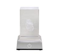 YIZITU Modelo De Grabado con Láser Anatómica De Corazón/Dientes Base LED Ciencia Biología Cirujano Medial Regalo Figuras De Dientes Anatómicos