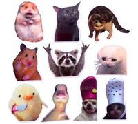 YJ Premiums 12 imanes de Nevera Divertidos con diseño de Animales Meme, Divertidos y extraños imanes magnéticos para Gatos, Perros, hámsteres, Patos, para Juegos, Cocina, decoración del hogar