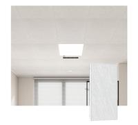 YJEUZCD Decorativo Techo Sintió, Aluminio Liso Teja, Interior Cocina Caseta Instalación Panel, Baño Oficina Lavable Cubrir Hoja(Gray-D,1pcs-30x60cm)