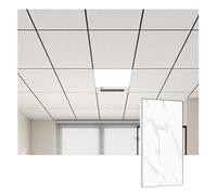 YJEUZCD Decorativo Techo Sintió, Aluminio Liso Teja, Interior Cocina Caseta Instalación Panel, Baño Oficina Lavable Cubrir Hoja(Gray-B,20pcs-30x60cm)