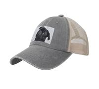 YJSPSW Lindo Perro Pug Negro, Gorra de béisbol de Malla de Vaquero, Sombreros clásicos Ajustables para papá, Sombreros de Camionero