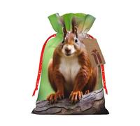 YKJJFVZ Bolsas de regalo con cordón de tamaño mediano con estampado de ardilla roja, bolsas de joyería para caramelos, regalos de boda, Navidad