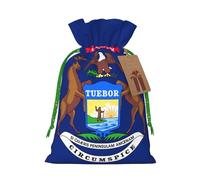 YKJJFVZ Bolsas de regalo con cordón de tamaño mediano con estampado de bandera del estado de Michigan, bolsas de joyería para caramelos, regalos de boda, Navidad
