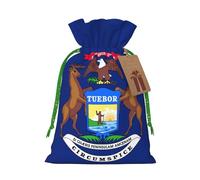 YKJJFVZ Bolsas de regalo con cordón de tamaño mediano con estampado de bandera del estado de Michigan, bolsas de joyería para caramelos, regalos de boda, Navidad