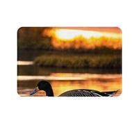 YKJJFVZ Loon Nature - Alfombra de bienvenida con estampado de pájaros para entrada interior y exterior, tela de franela