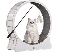 YKMYXZ, Juguete Deportivo for Bajar de Peso y Fitness for Gatos, Cinta de Correr silenciosa con Bloqueo de Seguridad, for aliviar la Falta de Ejercicio en Gatos de Interior.(White,XL)