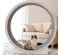 YKMYXZ, Rueda de Ejercicio for Gatos, Cinta de Correr for Interiores, Marco de Escalada, Juguete Interactivo for Gatos, Dispositivo de Fitness for Bajar de Peso.