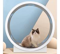 YKMYXZ, Rueda para adelgazar gatos Rueda para gatos Rueda gigante para todos los gatos Girar, rascarse, escalar