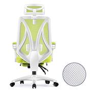 YKMYXZ, Silla Gamiraci giratoria Zero con Respaldo Alto for Juegos, Silla de Oficina for PC, Soporte Lumbar Ajustable/Estructura Blanca, Red Azul(White Frame Green Net)