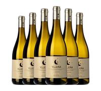 Yllera Sauvignon Blanca Rueda 75 cl Vino blanco (Caja de 6 Botellas de 75 cl)