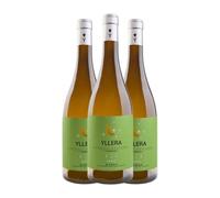 Yllera Vendimia Nocturna Rueda Botella Magnum 1,5 L Vino blanco (Caja de 3 Botella Magnum de 1,5 L)
