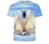 YLLMNOBN Camiseta de Manga Corta con Cuello Redondo y Estampado 3D de Oso Polar para Hombre, de Secado rápido y Transpirable.