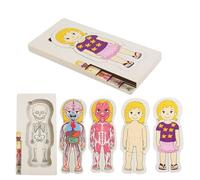 Ylnailky del Cuerpo Humano para Niños - De Anatomía De Madera para Niños,Juego Educativo de Anatomía Infantil para Casa y Escuela