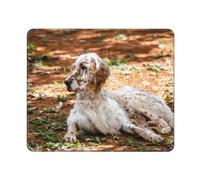 YLQHZW Setter Inglés Otoño Mascotas Perros del Bosque Inglés, Alfombrilla para ratón, Alfombrilla para ratón con Base de Goma Antideslizante, Alfombrilla para ratón Impermeable 25 x 30 cm