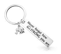 Ymapinc Llavero de elefante para mujer, ideas de amistad plateadas, regalos de hermandad con sabiduría, nunca olvides lo fuerte que eres para bolsa, bolso de mano, Navidad, cumpleaños, acero
