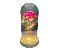 Ymnilian Rosa Eterna, Rosa Eterna Natural Preservada Flor de lámina Oro 24K en Cubierta Cristal, Rosa eterna, Regalo San Valentín for Novia, Fiesta Boda, Dama Honor(Rose Red 2)