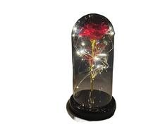 Ymnilian Rosa Eterna, Rosa Eterna Natural Preservada Flor eterna Rosa en Frasco decoración de Boda Flor Artificial Cubierta Regalo del Día San Valentín hogar(028)