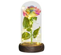 Ymnilian Rosa Eterna, Rosa Eterna Natural Preservada Regalos for Ella Rosa eterna en cúpula de Cristal Artificial Forever Flower Light for el día la Madre for Mujeres(Rainbow Flower)