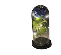 Ymnilian Rosa Eterna, Rosa Eterna Natural Preservada Rosa eterna Artificial, Flor Eternelle en cúpula de Cristal, Navidad, cumpleaños la Madre, Regalo del Día San Valentín(032)