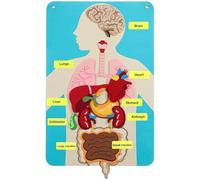 Ymxygz Rompecabezas De Cuerpo Humano De Fieltro, Divertido Rompecabezas De Cuerpo Humano, Tablero De Aprendizaje para Niños De Guardería, Aprendizaje En Casa, Juegos Educativos para Niños Pequeños