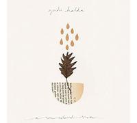 yndi halda - A Sun Coloured Shaker [Vinilo]