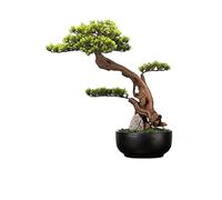 YNIYUJKL Árbol De Bonsái Artificial De Simulación, Planta Zen Falsa En Maceta, Sala De Té, Sala De Estar, Plantas Verdes, Adornos Decorativos, 24 Pulgadas, Árboles De B,Green-2ft