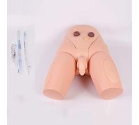 YNIYUJKL Kit Simulador De Cateterismo Uretral Masculino Y Femenino, Modelo Didáctico para Estudiantes De Medicina O Enfermeras, Cuidado del Cuerpo Humano, Primeros Auxilios, Rehabilita