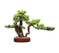 YNIYUJKL Plantas Decorativas Artificiales, Plantas De Simulación, Bonsái, Adornos De Estilo Chino, Árbol Falso para Sala De Estar, Maceta para Porche, Plantas Verdes, Ad,D
