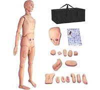 YNIYUJKL Simulador Multifuncional De Atención Al Paciente, Maniquí Masculino para La Curación del Paciente, Didáctico En PVC, Modelo De Maniquí Femenino para La Enseñanza En La Escuela
