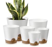 YNNICO Macetas de Interior autorriego con Orificio de Drenaje y platillo, 6 macetas Blancas (20 cm, 17,8 cm, 16,5 cm, 15,2 cm, 14 cm y 12,7 cm)