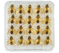 YNPQTDS Lyer de con mosca 20 piezas Señuelos en forma de abeja ABS equipo de realista con estuche para amantes de agua dulce y salada