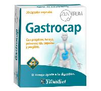 Ynsadiet Zentrum Gastrocap 30 Cápsulas