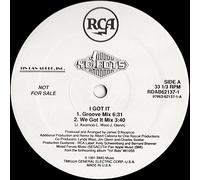 Yo! Bots - I Got It [Vinilo][Import]