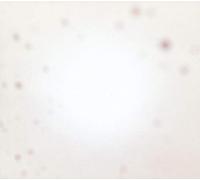 Yo La Tengo - There's a Riot Going on (Ltd.Ed.Vinile Arancione) [Vinilo]