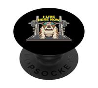 Yo Vivo aquí Ahora Bulldog Levantador de Pesas PopSockets PopGrip Adhesivo