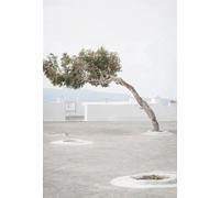 Yocheng Arte mural minimalista escandinavo: ramas de olivo,hojas,arquitectura,lienzo,pintura,pósteres,láminas,decoración del hogar. 40x50cm Sin Marco