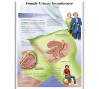 Yocheng Póster de anatomía humana,cuerpo,órganos,huesos,imagen,lienzo,pintura,impresión,mural decorativo,arte de pared para habitación del hogar 21x30cm sin marco