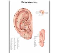 Yocheng Póster de anatomía humana,cuerpo,órganos,huesos,imagen,lienzo,pintura,impresión,mural decorativo,arte de pared para habitación del hogar 40x50cm Sin Marco