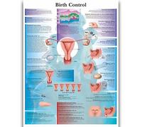 Yocheng Póster de anatomía humana,cuerpo,órganos,huesos,imagen,lienzo,pintura,impresión,mural decorativo,arte de pared para habitación del hogar 40x50cm Sin Marco