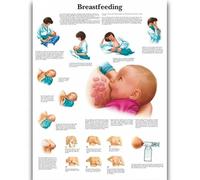 Yocheng Póster de anatomía humana,cuerpo,órganos,huesos,imagen,lienzo,pintura,impresión,mural decorativo,arte de pared para habitación del hogar 21x30cm sin marco